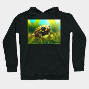 Corroboree Frog Hoodie